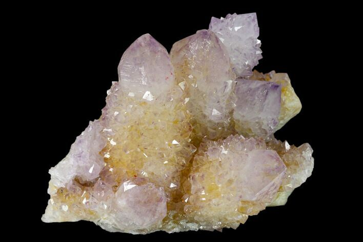 Cactus Quartz (Amethyst) Crystal Cluster - South Africa #137800